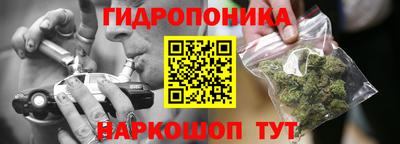 PSILOCYBIN Боровичи