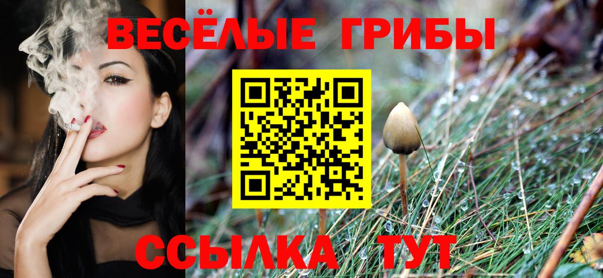 Псилоцибиновые грибы ЛСД Сорочинск
