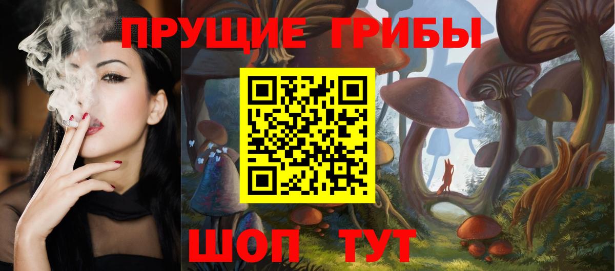 Псилоцибиновые грибы GOLDEN TEACHER  цены   Сорочинск  Псилоцибиновые грибы ЛСД  Вход с VPN 