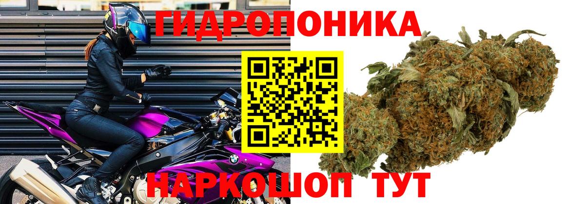 Бошки марихуана AK-47  Канабис Ganja  Вход с VPN  Сорочинск  Конопля планчик 